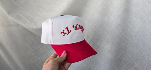 White Katy TX Curved Hat – Upside Down 3D Puff Embroidered Snapback